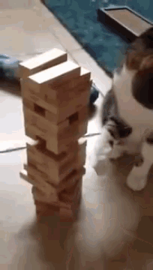 cat jenga games smart cat