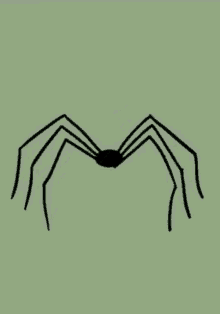 a drawing of a spider on a green background with a smaller spider next to it .