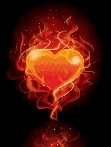 Heart On Fire Heart GIF - Heart On Fire Heart Love GIFs