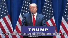 Donald Trump Campaign GIF