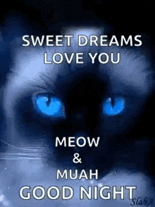 a black cat with blue eyes says sweet dreams love you meow and muah good night .