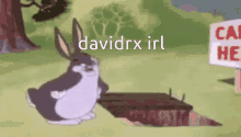 Davidrx Furry GIF - Davidrx Furry Vaporeon GIFs