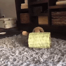 a rabbit is playing with a yellow toy on the floor
