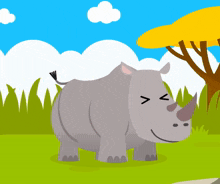 Rhino Rhinoceros GIF - Rhino Rhinoceros Rinoceronte GIFs