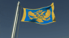 a blue and yellow flag with an eagle and a crown on it against a blue sky