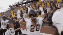 Appstate Excited GIF - Appstate Excited GIFs