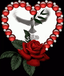 Dove Rose GIF - Dove Rose Heart GIFs