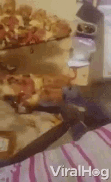 Steal A Slice Hungry GIF