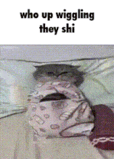 a cat wrapped in a blanket with the words who up wiggling they shi on the bottom