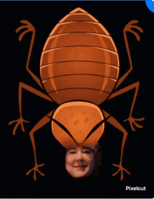 Bedbug GIF - Bedbug GIFs