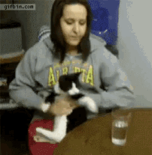 Cat Funny GIF - Cat Funny Water GIFs