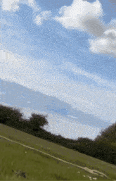 a grassy hillside with trees and a blue sky with white clouds