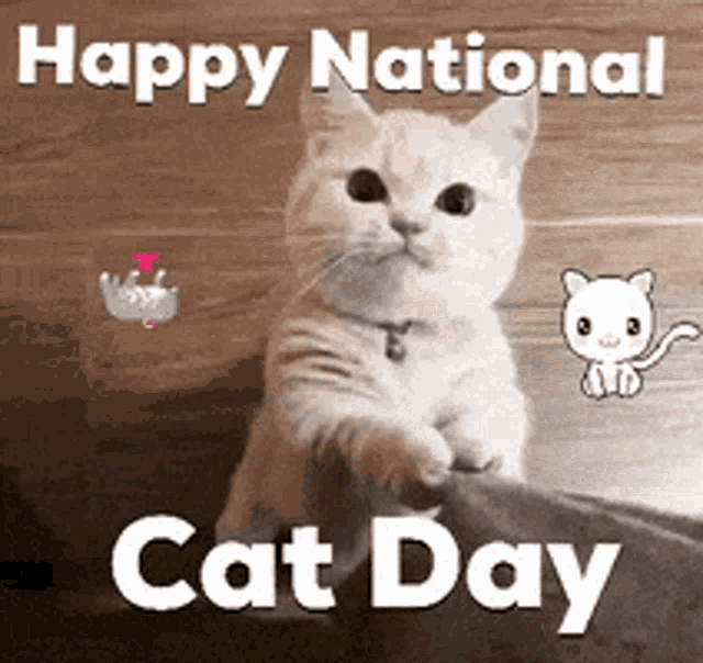 21 Hilarious Cat GIFs in Honor of Cat Day
