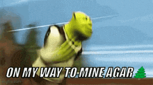 shrek is running on his way to mine agar .