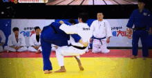 이원희 유도 운동선수 기술 승리 스포츠 우리동네예체능 GIF - Lee Wonhee Judo Judo Champion GIFs