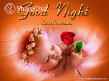 good night sweet dreams flowers roses %E0%A4%B6%E0%A5%81%E0%A4%AD%E0%A4%B0%E0%A4%BE%E0%A4%A4%E0%A5%8D%E0%A4%B0%E0%A4%BF