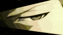 a close up of a person 's eye with a black eyebrow