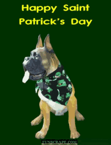 Saint Patricks Day Dog GIF - Saint Patricks Day Dog Beer GIFs