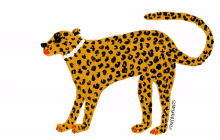 theebouffants animal cheetah love leopard print