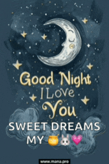 a poster that says good night i love you