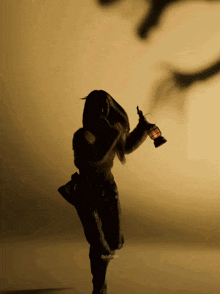 a silhouette of a woman holding a lantern in a dark room with a shadow of a person behind her