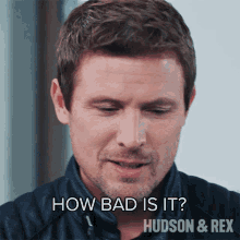 How Bad Is It Charlie Hudson GIF - How Bad Is It Charlie Hudson Hudson And Rex GIFs