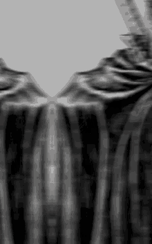 a black and white photo of a person 's torso with a plaid shirt .