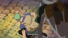 Carrot One Piece Carrot Attacks GIF - Carrot One Piece Carrot Attacks Roronoa Zoro GIFs