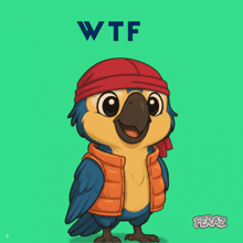 a cartoon of a parrot wearing a red hat and vest with the word wtf above it