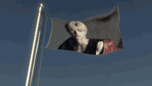 Jayuner Sunghoon Allyhoon GIF - Jayuner Sunghoon Allyhoon Sunghoon Flag GIFs