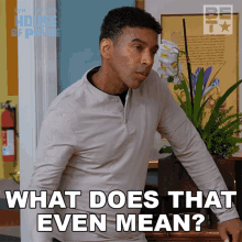 What Does That Even Mean Cj Payne GIF - What Does That Even Mean Cj Payne House Of Payne GIFs