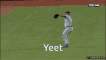 Yeet Baseball GIF - Yeet Baseball Ball GIFs