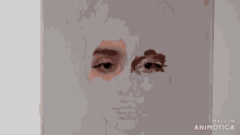 a person is painting a woman 's face with a brush and the words made in animotica are visible