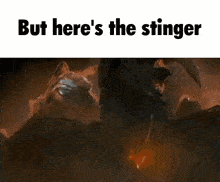 a picture of a cat with the words but here 's the stinger on the bottom