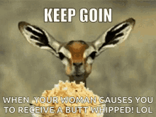 Keep Going GIF - Keep Going Deer GIFs