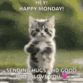 a kitten is standing on its hind legs and sending hugs and good vibes to someone .