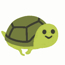 turtle fast