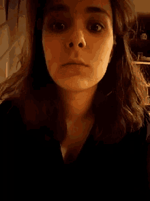 What Melissa Fumero GIF - What Melissa Fumero Selfie GIFs