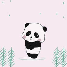 Cute Panda GIF - Cute Panda Sorry GIFs