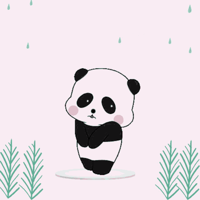 Cute Panda GIF - Cute Panda Sorry - Discover & Share GIFs