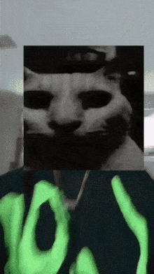 Cat Evil Cat GIF - Cat Evil Cat Apoth GIFs