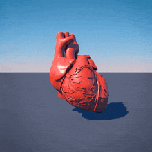 a 3d model of a human heart on a blue background