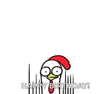 a bunch of chickens with long necks and red crests are standing next to each other on a white background .