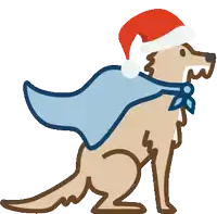 a dog is wearing a santa hat and cape