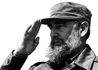 a man with a beard wearing a hat salutes with his hand on his forehead