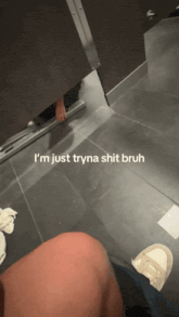 a person sitting in a bathroom with the words i 'm just tryna shit bruh written on the floor
