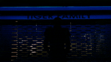 a silhouette of a person standing in front of a tiger family store