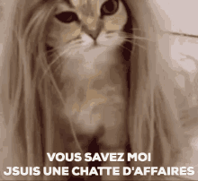 Cat Wig GIF - Cat Wig Vous Savez Moi Jsuis GIFs
