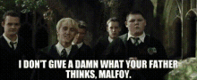 Draco Malfoy GIF - Draco Malfoy Harry GIFs