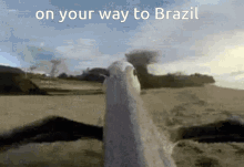 Brazil Pelican GIF - Brazil Pelican Fly GIFs